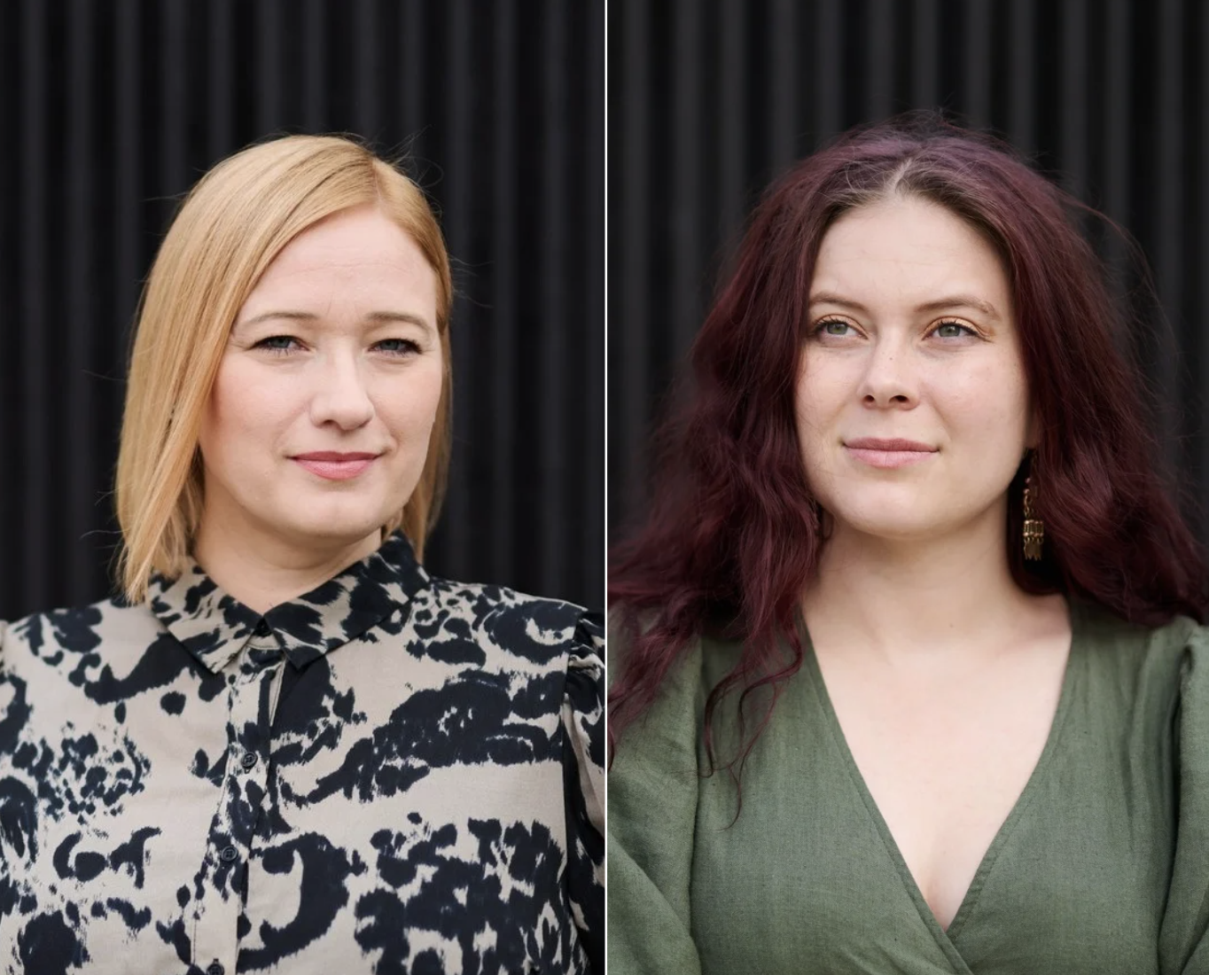 Valtuustoaloite lähisuhdeväkivallan ehkäisemiseksi ja uhrien tukemiseksi Länsi-Uudenmaan hyvinvointialueella