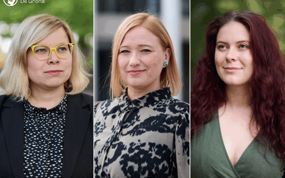 Länsi-Uudenmaan uusi vihreä aluevaltuustoryhmä järjestäytyi – väliaikaiseksi puheenjohtajaksi valittiin Henna Partanen