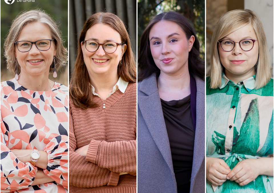 Uudenmaan vihreät nimesivät 11 ehdokasta eduskuntavaaleihin – mukana kolme kansanedustajaa